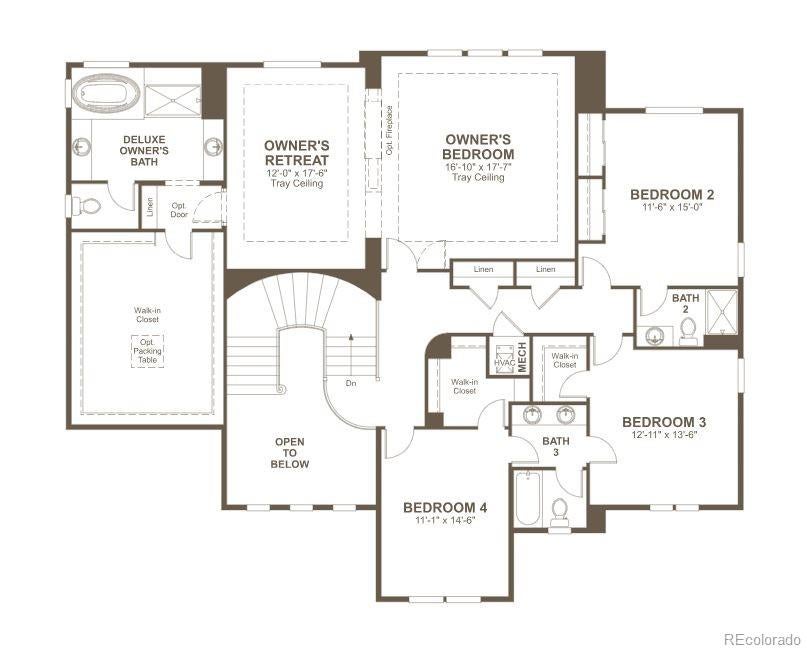 1697 Oleander St, Castle Rock, CO 80109 photo