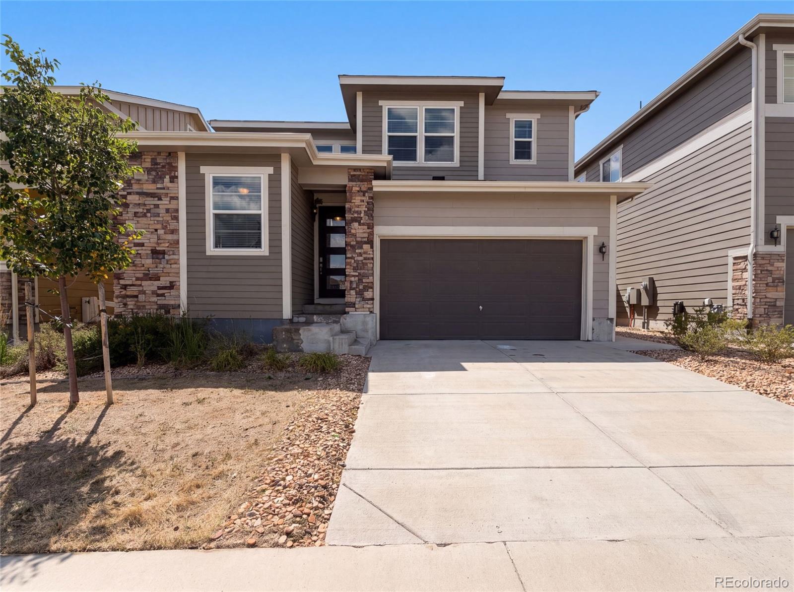 2450 Garganey Dr, Castle Rock, CO 80104 photo