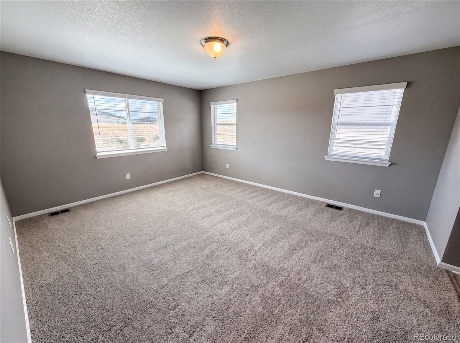 2450 Garganey Dr, Castle Rock, CO 80104 photo