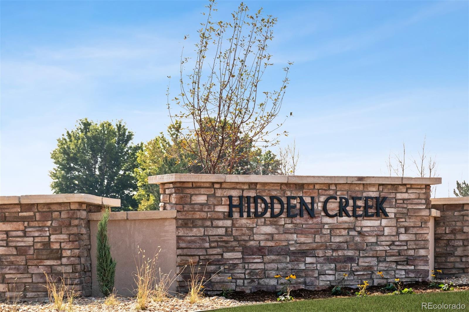 7409 Arkansas St, Frederick, CO 80530 photo