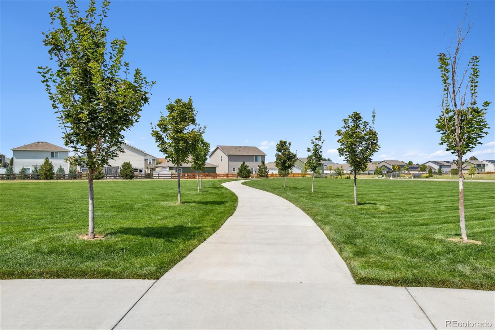 7409 Arkansas St, Frederick, CO 80530 photo