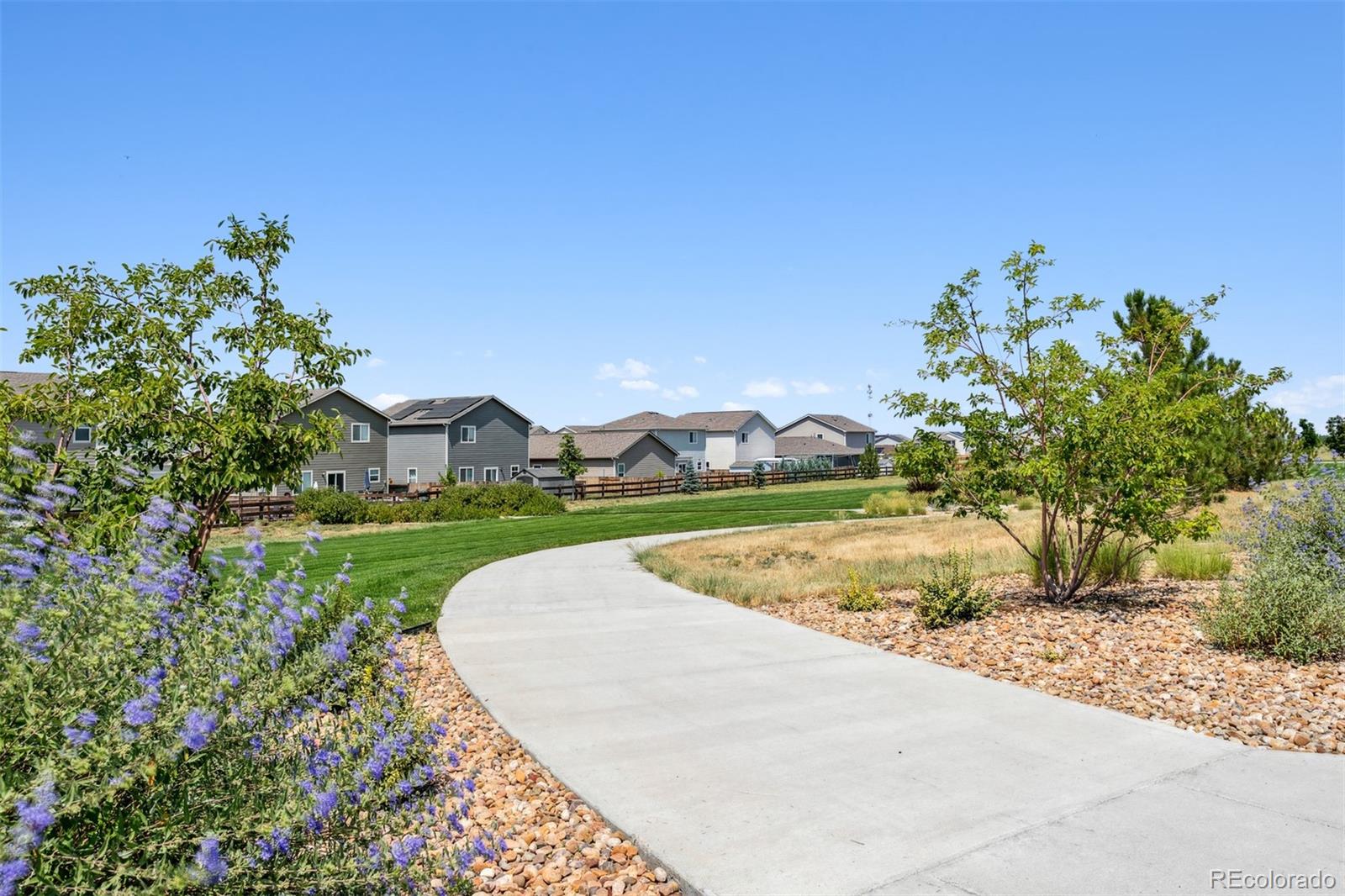 7409 Arkansas St, Frederick, CO 80530 photo