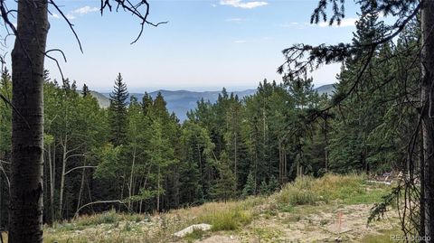  in Idaho Springs CO 429 Sawmill Lane.jpg