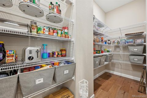 Single Family Residence in Aurora CO 6980 S Yantley Court 19.jpg
