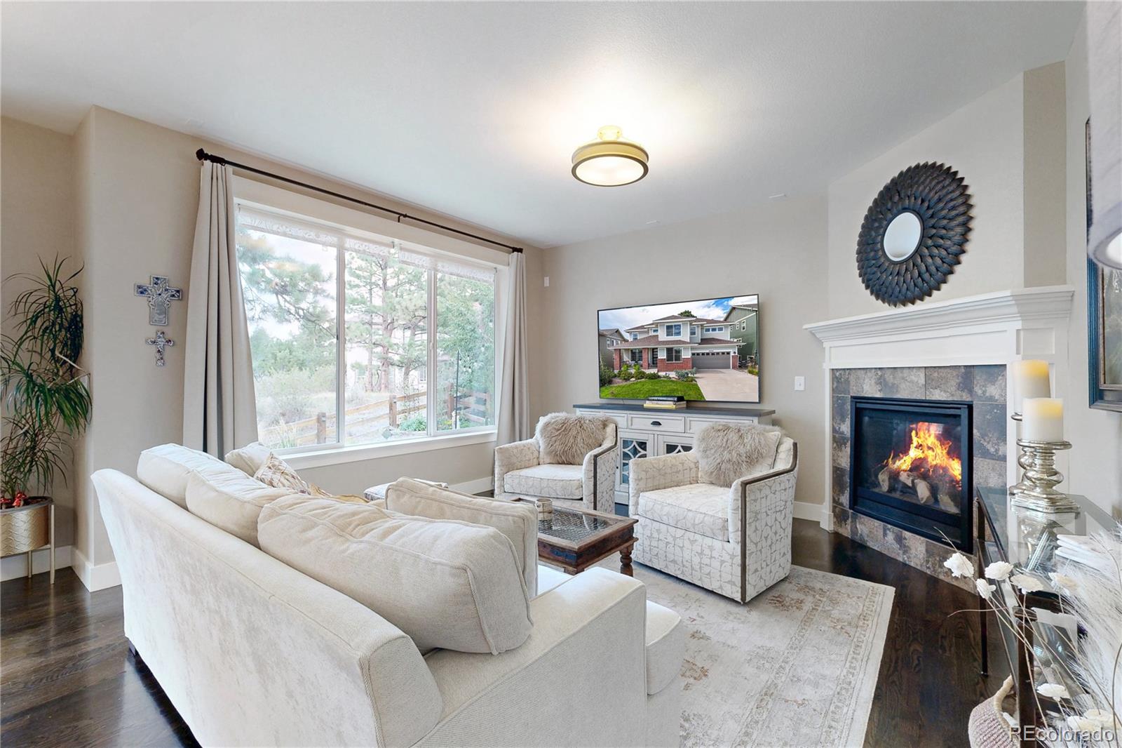 20303 Spruce Point Pl, Parker, CO 80134 photo