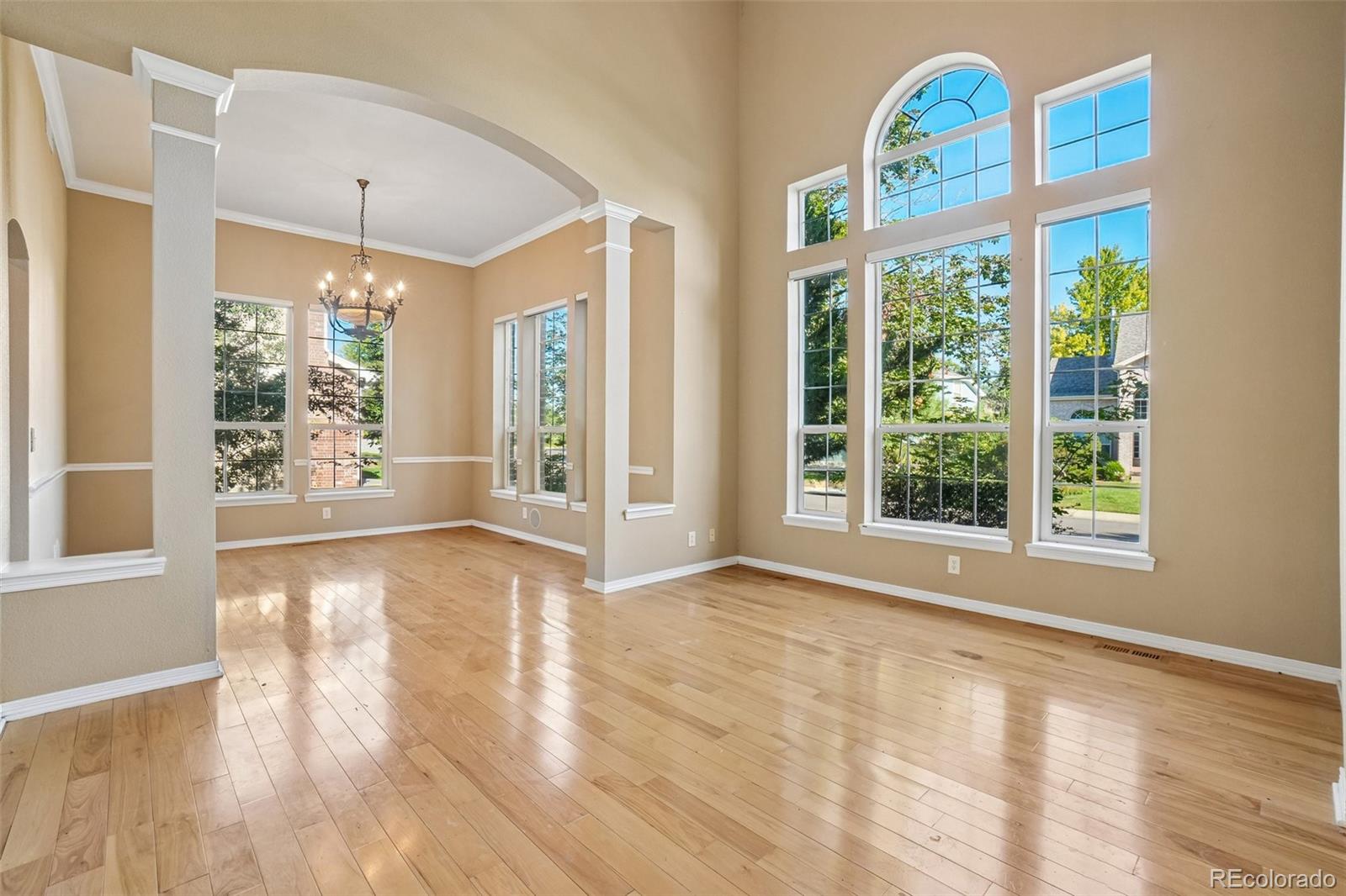 465 Whitetail Cir, Lafayette, CO 80026 photo