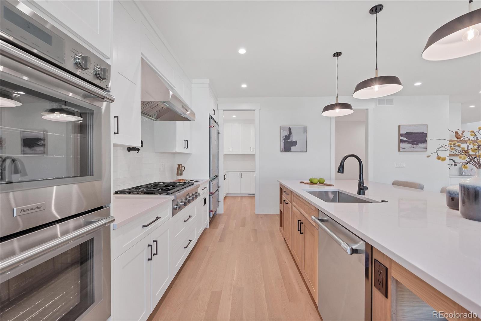 1035 N Leyden St, Denver, CO 80220 photo