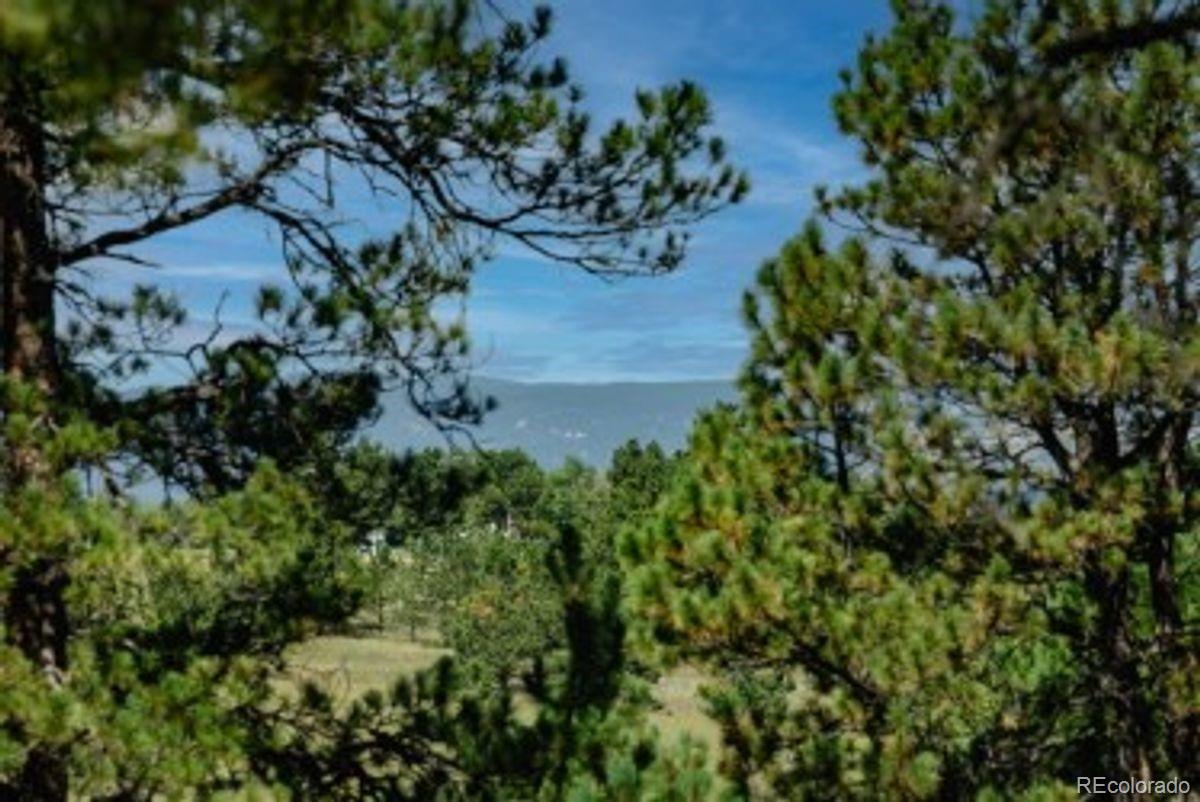 4125 Walker Vista Hts, Colorado Springs, CO 80908 photo