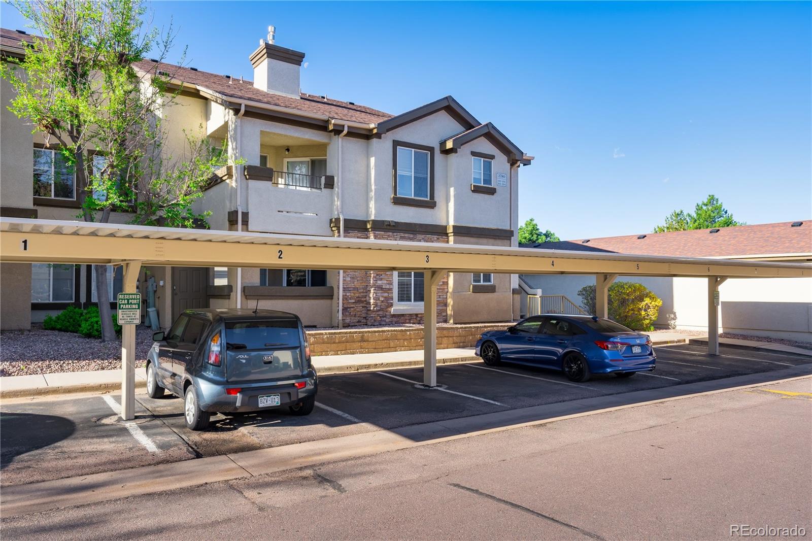 3780 Riviera Grv #204, Colorado Springs, CO 80922 photo