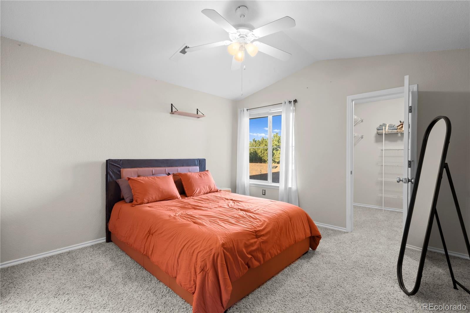 3780 Riviera Grv #204, Colorado Springs, CO 80922 photo
