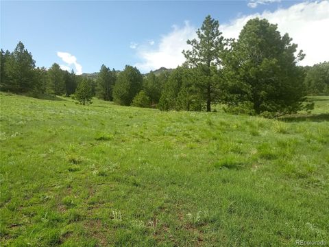 Unimproved Land in Guffey CO TBD Post Road.jpg