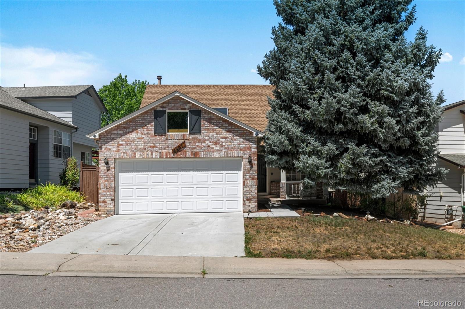 4807 N Bearlily Way, Castle Rock, CO 80109 photo