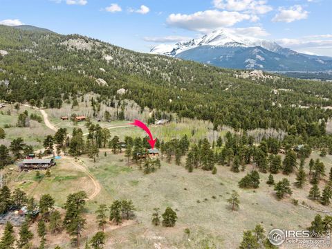 Single Family Residence in Allenspark CO 839 Ski Road.jpg