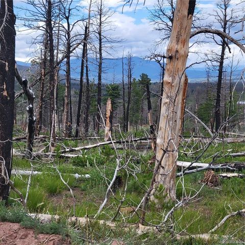 Unimproved Land in Fort Garland CO 2296 Wohlstetter Loop.jpg