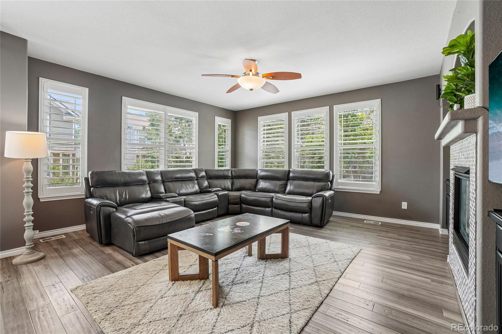 905 Lasnik St, Erie, CO 80516 photo