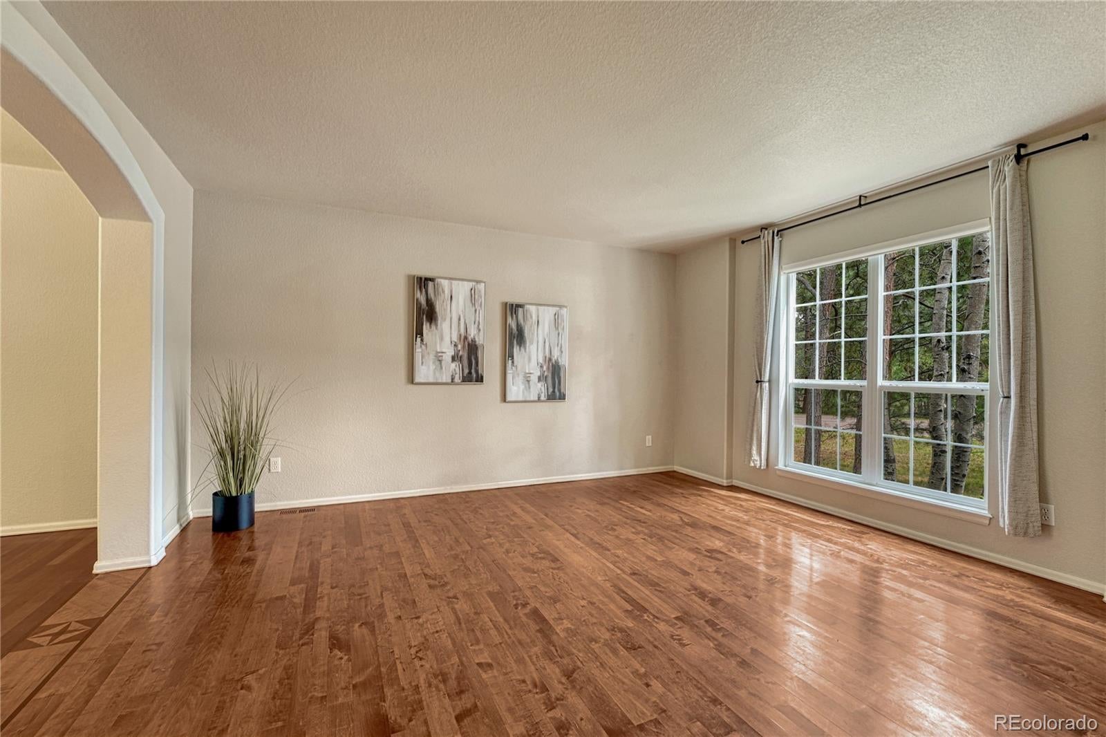 15849 Longmeadow Ln, Colorado Springs, CO 80921 photo