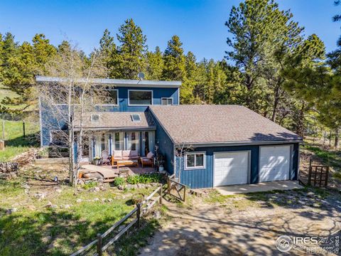 Single Family Residence in Nederland CO 1824 Lazy Z Road.jpg