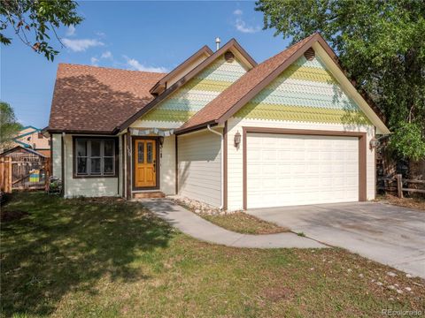 Single Family Residence in Buena Vista CO 120 S San Juan Avenue.jpg