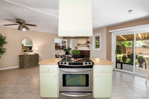 Single Family Residence in Centennial CO 6600 S Williams Circle 15.jpg