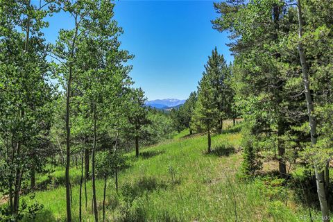 Unimproved Land in Black Hawk CO Block 2, Lot 24 Hughesville Road.jpg