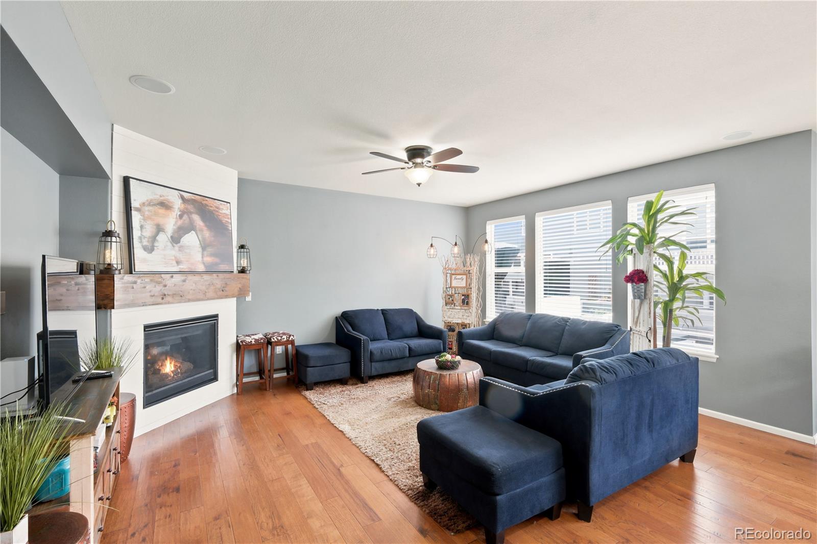 3064 Trailblazer Way, Castle Rock, CO 80109 photo