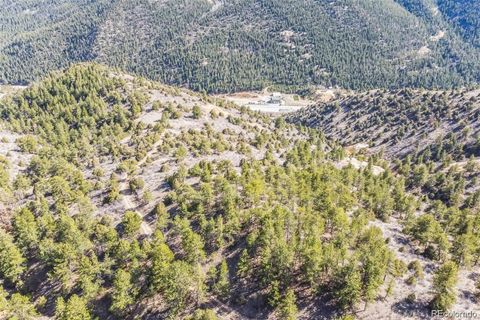 Unimproved Land in Dumont CO Wild Wagoner Tr.jpg