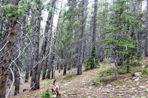 Unimproved Land in Idaho Springs CO Group 2-2 Lamartine Road.jpg