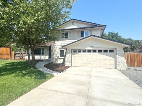 Single Family Residence in Littleton CO 7339 S Kit Carson Street.jpg