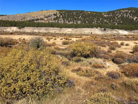 Unimproved Land in Leadville CO Leadville Land.jpg