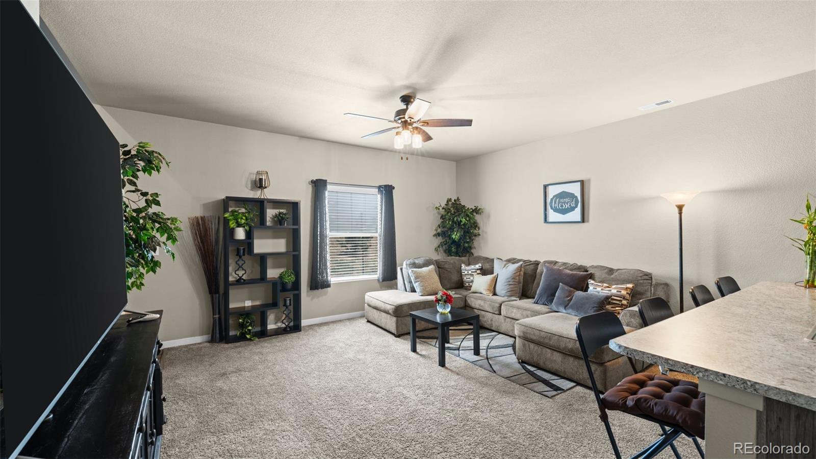 4687 Ports Down Ln, Colorado Springs, CO 80911 photo