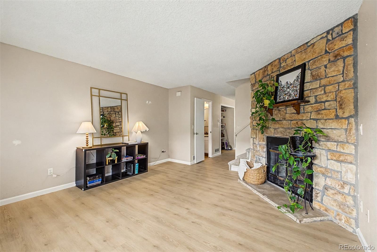 10869 Bayfield Way, Parker, CO 80138 photo