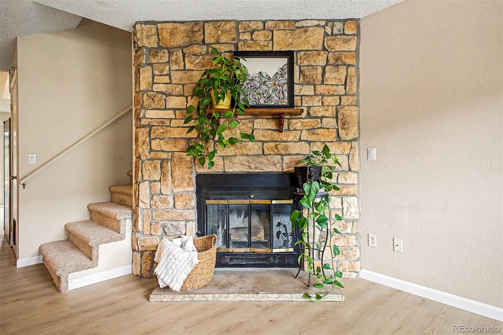 10869 Bayfield Way, Parker, CO 80138 photo