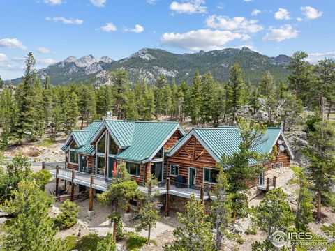 Single Family Residence in Allenspark CO 2430 Big Owl Road.jpg