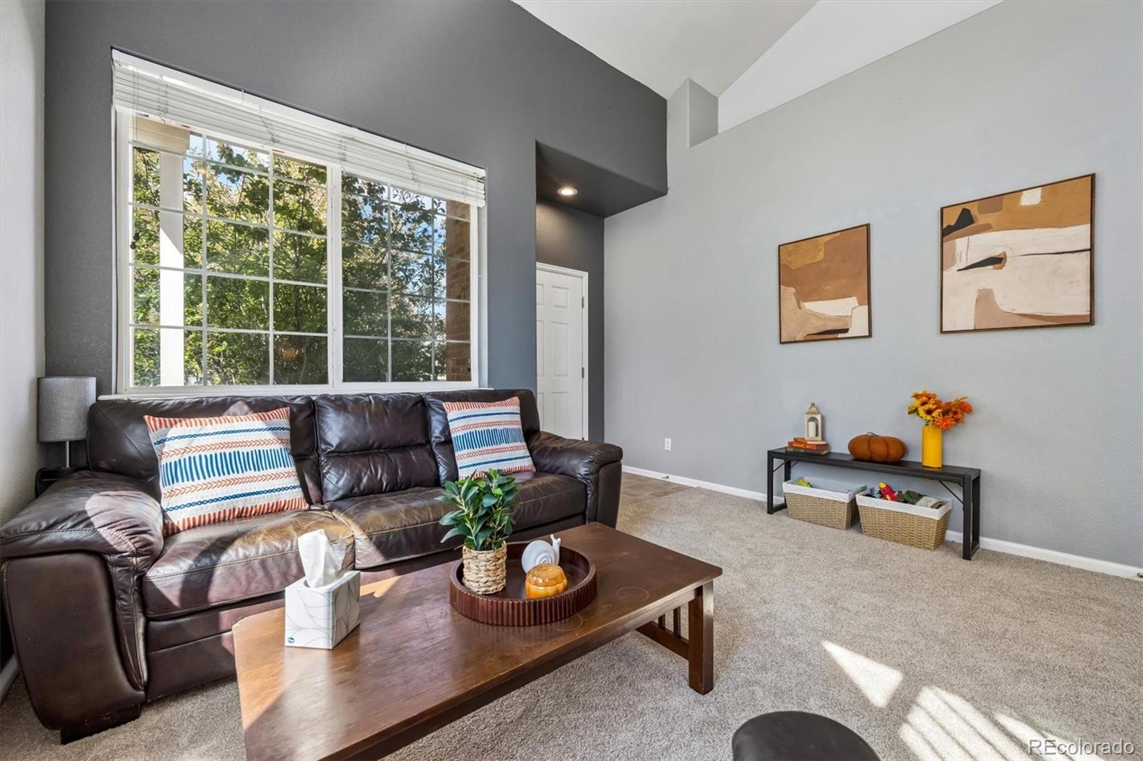 16034 E 97 Ave, Commerce City, CO 80022 photo