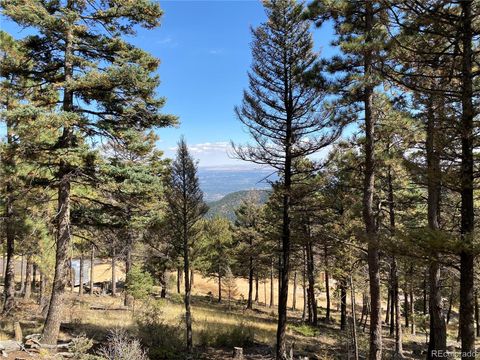 Unimproved Land in Manitou Springs CO 342 Ponderosa View.jpg