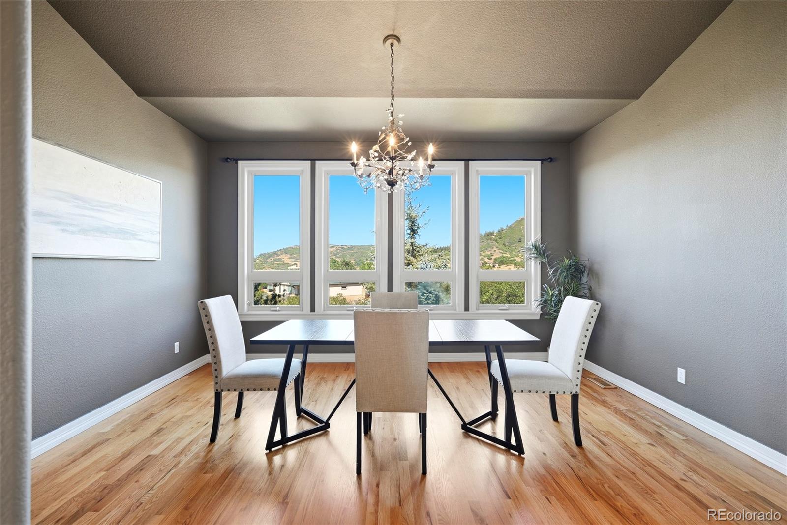 4367 Tallyrand Cir, Castle Rock, CO 80104 photo