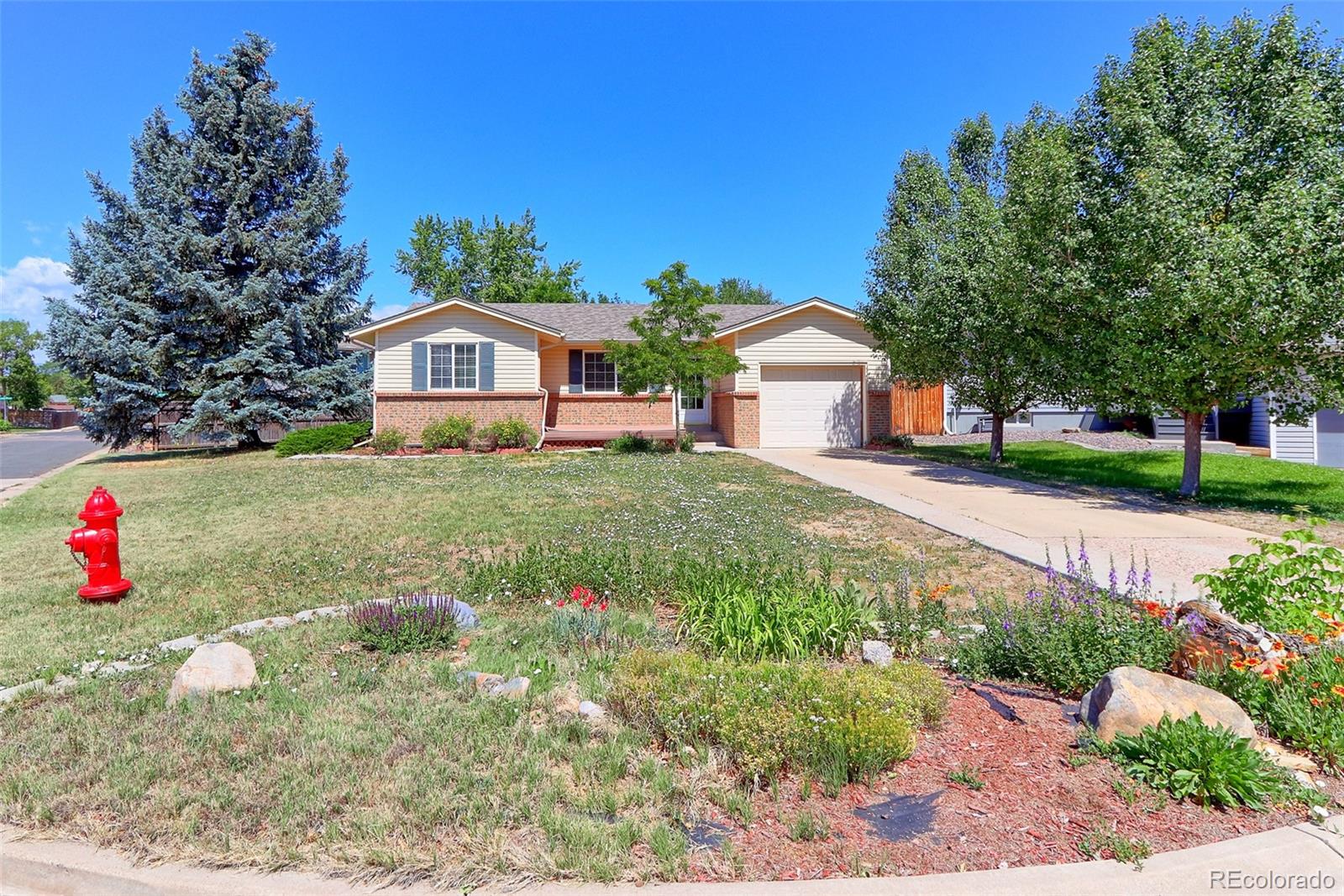 8793 W 87 Pl, Arvada, CO 80005 photo