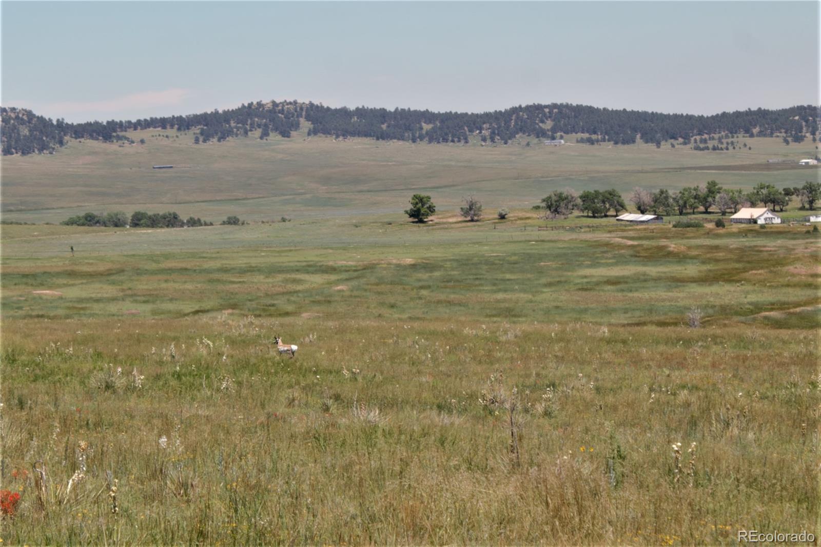23 Sweet Rd #TRACT, Calhan, CO 80808 photo