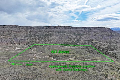Unimproved Land in Mesa CO 000 45 1/2 Road.jpg