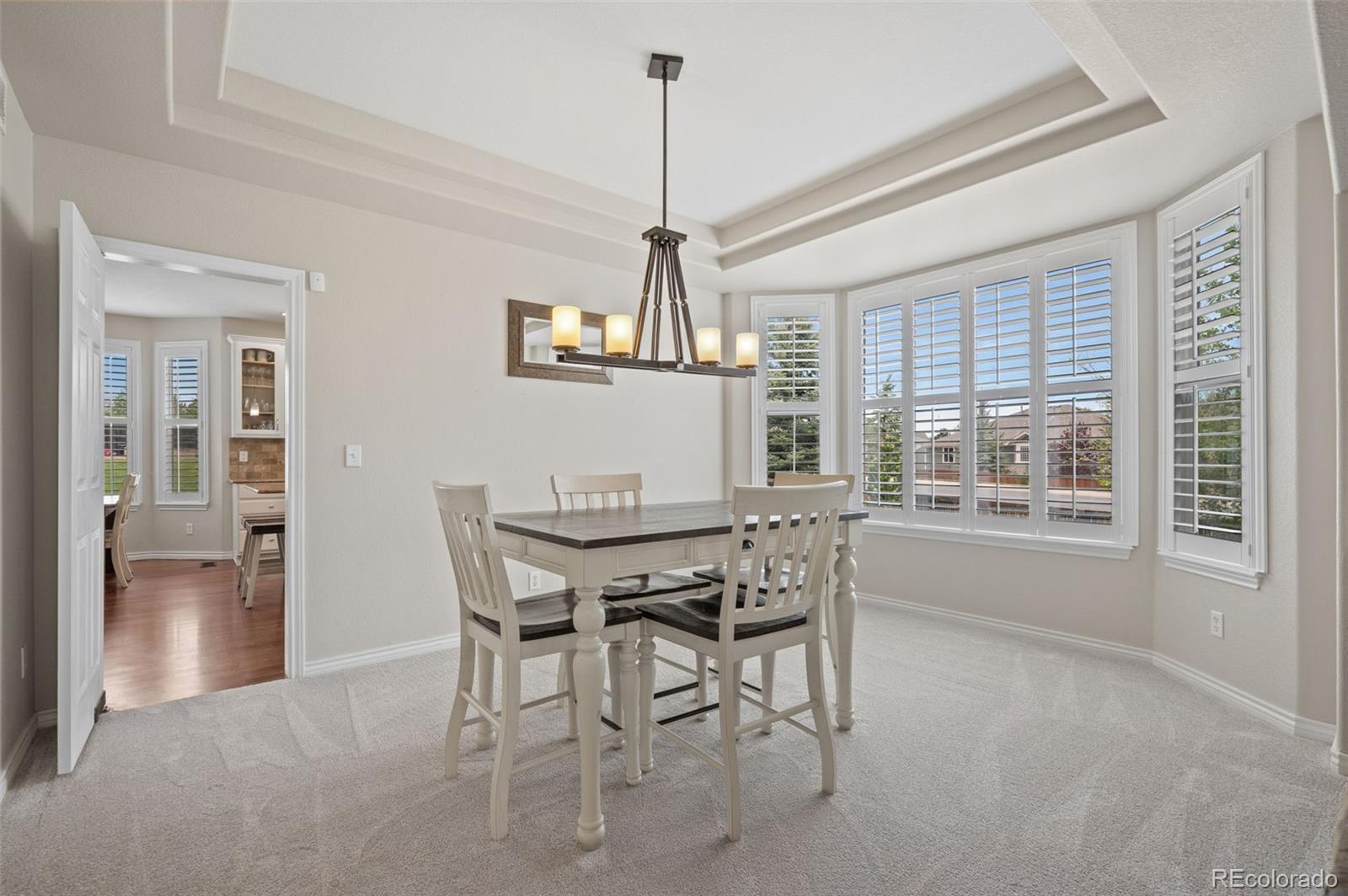 7245 Obsidian Ln, Castle Rock, CO 80108 photo
