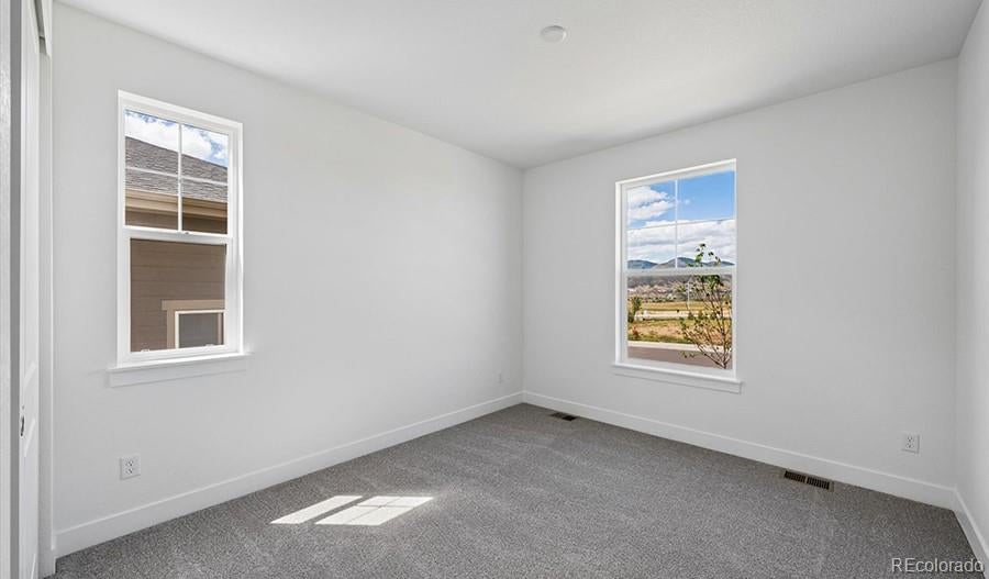 8514 Piedra River St, Littleton, CO 80125 photo