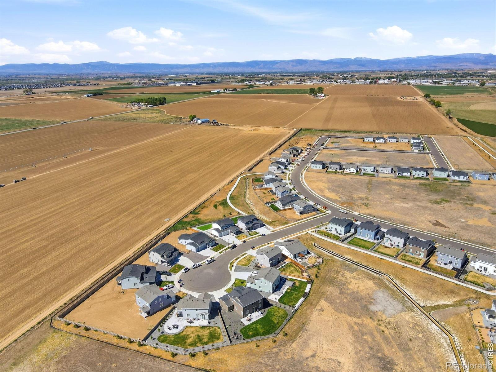 5817 Farmstead Pl, Mead, CO 80504 photo