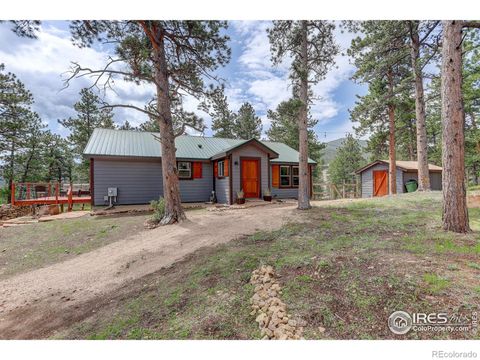 Single Family Residence in Allenspark CO 277 Ski Road.jpg