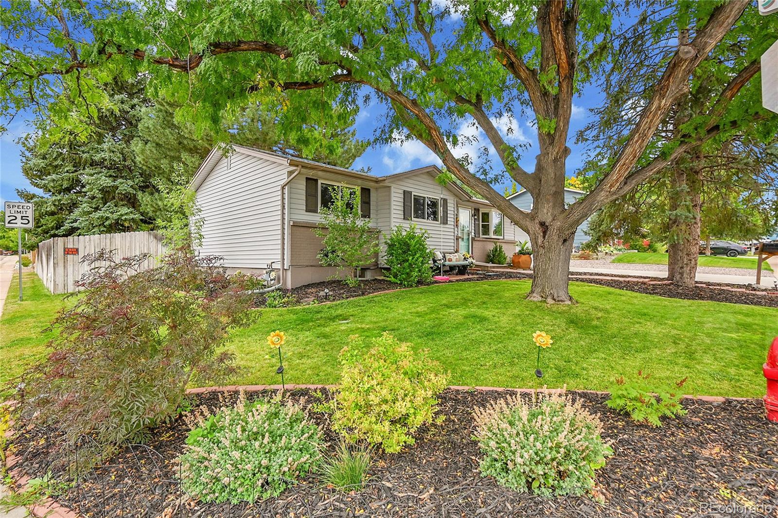 13564 Delphi Dr, Lone Tree, CO 80124 photo