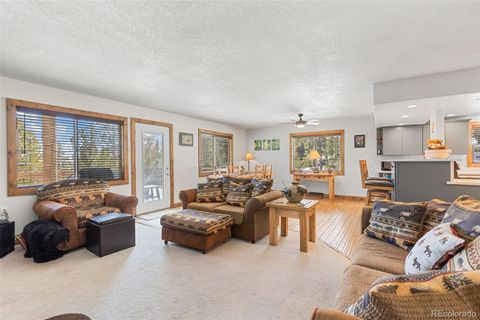 Single Family Residence in Fairplay CO 1606 Bobcat Lane 5.jpg