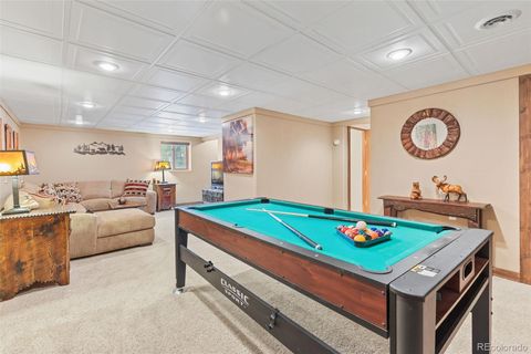 Single Family Residence in Fairplay CO 1606 Bobcat Lane 24.jpg