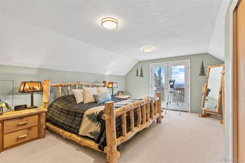 Single Family Residence in Fairplay CO 1606 Bobcat Lane 14.jpg