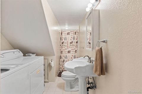 Single Family Residence in Fairplay CO 1606 Bobcat Lane 27.jpg