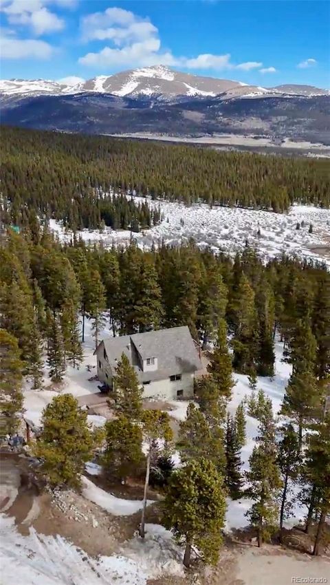 Single Family Residence in Fairplay CO 1606 Bobcat Lane 35.jpg
