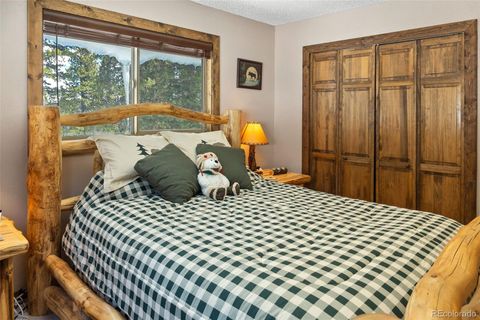 Single Family Residence in Fairplay CO 1606 Bobcat Lane 11.jpg